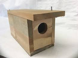 This birdhouse requires no nails! Qty 2 Bird House Kits 2 Diy Birdhouse Crafts Kids Family Project Paint Build Ebay