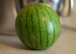 امرأة تقتل زوجها بسبب بطيخة صحيفة تواصل الالكترونية