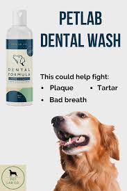 Hi, the website is temporarily down for maintenance. Pet Lab Dental Chews Dog Health Dental Dog Teeth