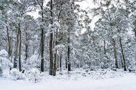 Australia In July Travel Tips Weather And More Kimkim