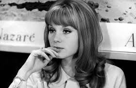 Criterion Collection: The Soft Skin