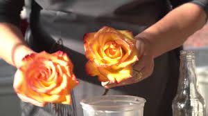 Leave to absorb for two to three weeks. How To Preserve Flowers With Wax Youtube
