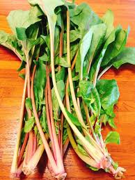 ホウレンソウ みなとの野菜大辞典