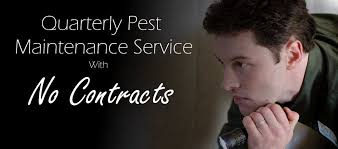 Pin By New Leaf Pest Control On General Images Green Pest Control Pest Inspection Ant Control