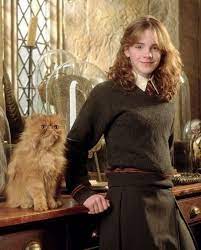 Hermione Granger And Crookshanks Discovered By Konstantinap2000 In 2021 Harry Potter Hermione Granger Emma Watson Harry Potter Harry Potter Hermione