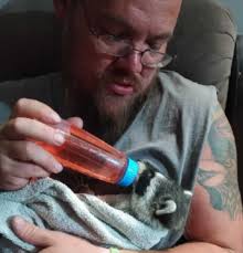 I just want to encourage some positivity in the community. I do things  behind the scenes, and I don't care if I get recognized. But I save 4  orphan raccoons, bottle fed