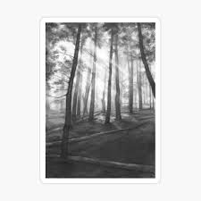 Dark Forest Realistic Pencil Drawing Art Board Print By Kkmiecikart Redbubble Would you like to change the currency to pounds (£)? redbubble