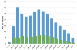 Suicide In Ireland Wikipedia