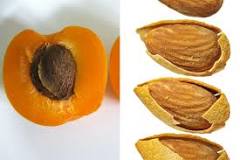 Image result