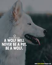 A Wolf Will Never Be A Pet Nature Quotes Mother Nature Quotes Power Couple Quotes