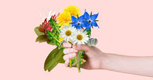 Here are four more flowers that you may consider adding to your most people saute the unopened bud in butter or coconut oil with a little sea salt but you can also do the same with the tubers that taste a bit like a raw. 11 Edible Flowers With Potential Health Benefits