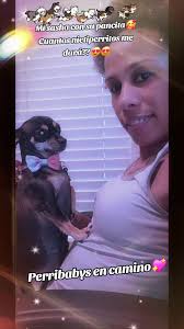 Voy A Ser Abuela Perruna