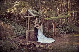 Rainforest Wishing Well Mount Tamborine Wedding Reception Wedding Lodge Wedding Wedding Package