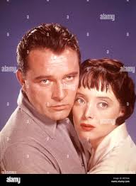 Director vincent sherman hi-res stock photography and images