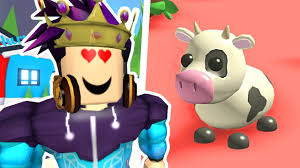 Adopt me 2020 quiz fun quiz quizizz. Adopt Me Roblox Pets