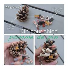 Diy 6 Accessoires Pour Chien A Faire Soi Meme Accessoire Chien Diy Pour Chien Jouet Pour Chiot
