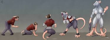 Wererodent hentai videos, GIFs, and images | R34.app