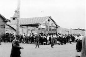 Rozgwiazda, kamizelka, cytra z zesłańczego szlaku. Małe drobiazgi, wielka  historia