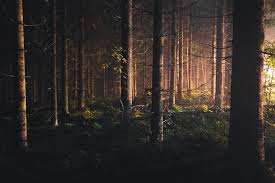 Choose from a curated selection of landscape wallpapers for your mobile and desktop screens. Fantasy Landscape Pictures Download Free Images On Unsplash