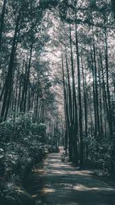 May 03, 2019 0 gambar kodok jelek. Agus Eman Aguse Profil Pinterest