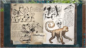 Read latest breaking news, updates, and headlines. Ark Mesopithecus Guide Abilities Taming Food Saddle Breeding Drops Location Progametalk