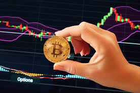 When i saw that i could make $100,000 from investing $700 i knew at that point that crypto has a lot of potential. Bitcoin Trading Tips For Beginners The European Business Review