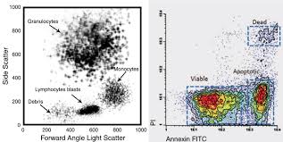 The scattering pattern is classified into both a forward scattering pattern method and a backward scattering pattern method. Abbexa Ltd Flow Cytometry