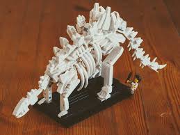 Find many great new & used options and get the best deals for lego ideas dinosaur fossils (21320) at the best online prices at ebay! Lego Dinosaur Build Off 65