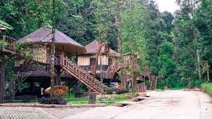 Rumah pohon the pines taman dayu pandaan. 10 Penginapan Rumah Pohon Paling Unik Dan Nyaman Di Indonesia