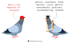Abrupt and curt in manner or speech; 29 Brusque Antonyms Full List Of Opposite Words Of Brusque