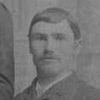 August Vitt (1864–1955)