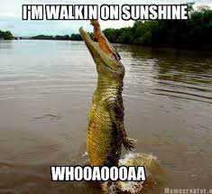I M Walking On Sunshine Whooaooooa Pictures Photos And Images For Facebook Tumblr Pinterest And Twitter