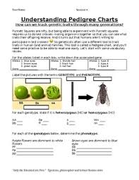 Go ahead and ask it. Allelle Worksheets Teaching Resources Teachers Pay Teachers