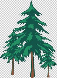 Nicepng also collects a large amount of related image material, such as pine tree ,pine tree clip art ,christmas tree vector. Clip Art Of A Redwood Tree Png Clipart