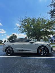 Image result for Siam Beige 2020 Audi