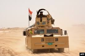 Image result for Ochna hackarsii