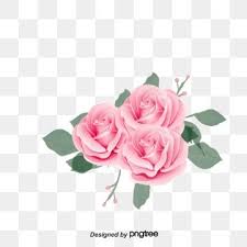 Rose Vector Flower Vector Pink Rose Flowers Pink Vector Rose Flower Png Flower Png Images Pink Flowers Background
