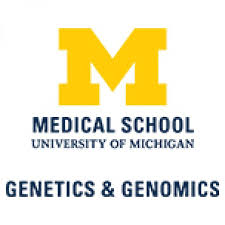 Tweets by um internal medicine. Human Genetics Michigan Medicine University Of Michigan
