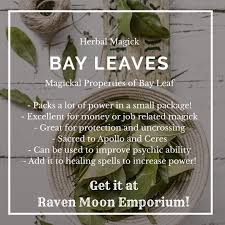 Bay Leaves Have Roots In Many Types Of Ancient Magick And Rootwork You Can Even Use Them As Paper In Your Spells For An Witch Herbs Magic Herbs Magical Herbs