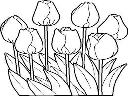 Dalam mewarnai beberapa bagan gambar bunga ini, anda sanggup memakai pensil warna maupun crayon. 1001 Bunga Sakura Gambar Bunga Tulip Kartun Cikimm Com