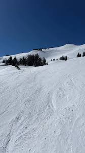 Here it is, your moment of sanity ….￼