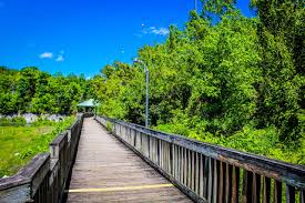 The 5 Best Parks Nature Attractions In Johnson City Tripadvisor
