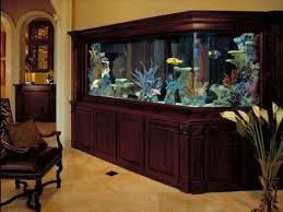 50 Wall Aquarium Design Pictures Furniture Fashion Saltwater Fish Tanks Fish Tank Aquarium