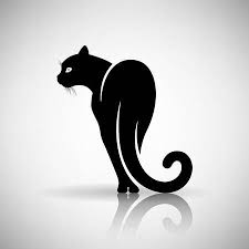 Stylise Chat Noir Sur Un Fond Clair Black Cat Lights Background Vector Art