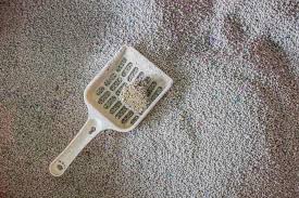 A true premium litter trapper has entered the market. 17 Viable Cat Litter Alternatives For Your Beloved Feline