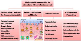 Image result for Antimicrobial Agent