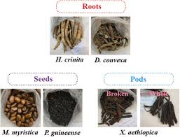 Image result for Heinsia