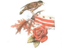 It is 11% greater than the overall u.s. Dc Symbols Os