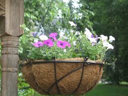 How To Plant In Coconut Fiber Hanging Baskets Hanging Basket Garden Diy Planters Outdoor Hanging Baskets