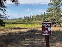 Turnbull NWR Evening Bird Walk